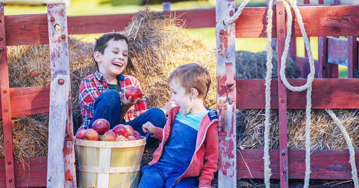 tlg-apple picking boys